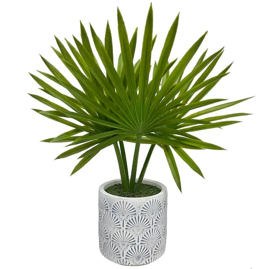 12&#x22; Palm Plant in Decorative Pot by Ashland&#xAE;